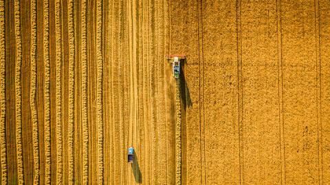 The Potential Pitfalls of a Bayer-Monsanto Merger