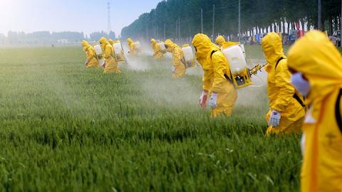 Your Roundup Lawsuit Questions Answered