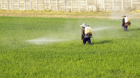 Friends of the Earth’s Myriam Douo Talks Monsanto Politics