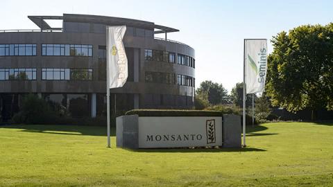 Why a Bayer-Monsanto Merger Could Spell Disaster for Our Food Supply