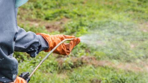 Bayer’s Third Loss in Roundup Cancer Lawsuit Boosts Pressure to Settle